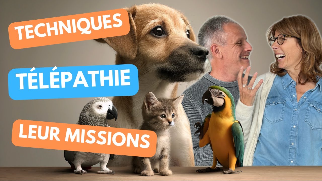 "Comprendre les Messages des Animaux" - Techniques et Conseils