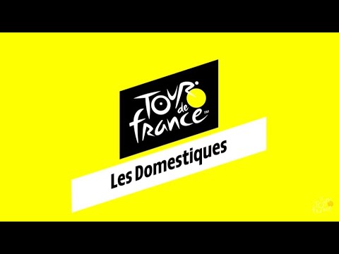 Tour de France Guide : Les domestiques