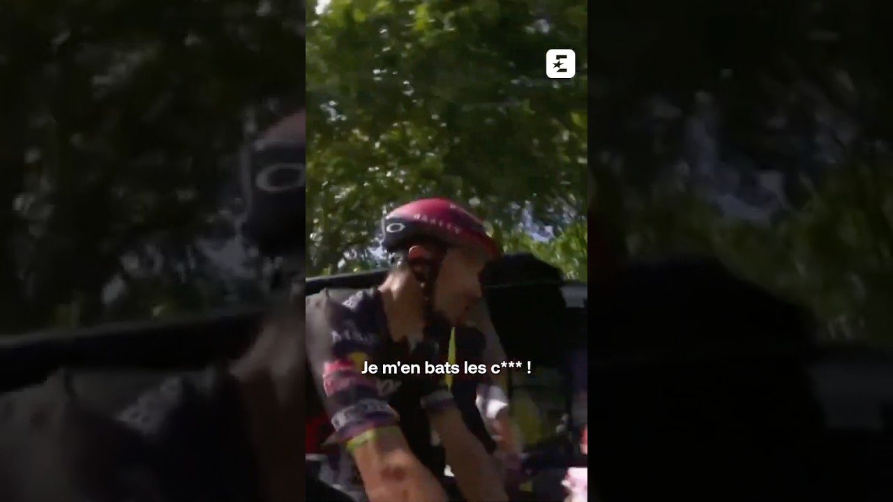😕❌ "Ah, j'ai l'air co* là !" : La réaction d'Alaphilippe après sa "fausse victoire" #tourdefrance