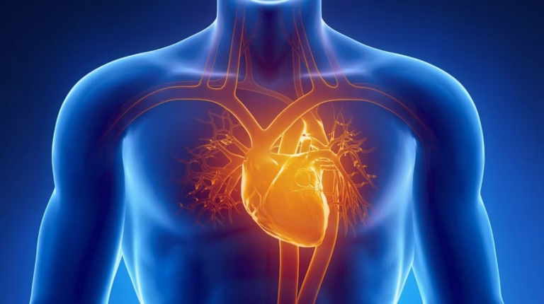 Fréquence cardiaque max chez la femme : ce qui diffère